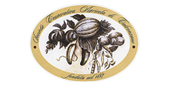 Calvenzano